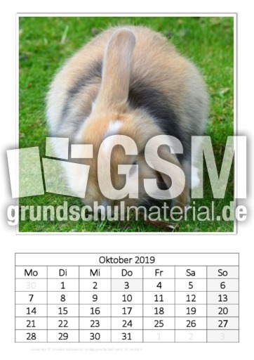 Oktober_Kaninchen_2.pdf
